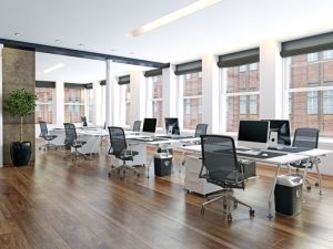 Analyse stratégique des alternatives écologiques pour la vaisselle jetable en restauration