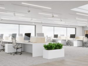 Stratégies d approvisionnement en baguettes jetables bambou certifiées pour professionnels de la restauration